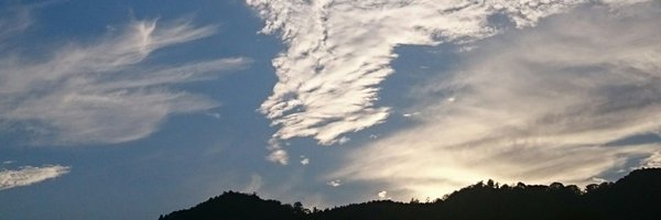 Hide_rin_bj Profile Banner