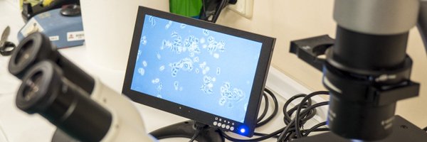 RamonSalazarS Profile Banner