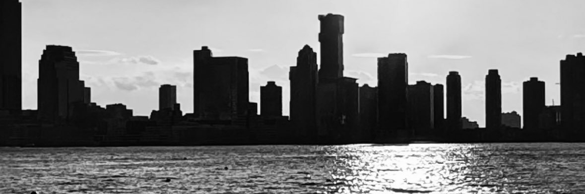 _IIIB_'s profile banner image