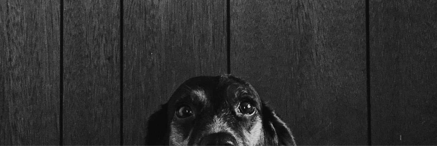 PushShove's profile banner image