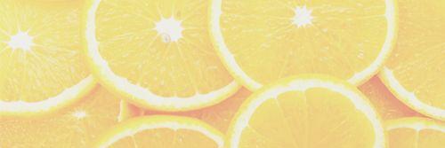 SanyaMichelle's profile banner image