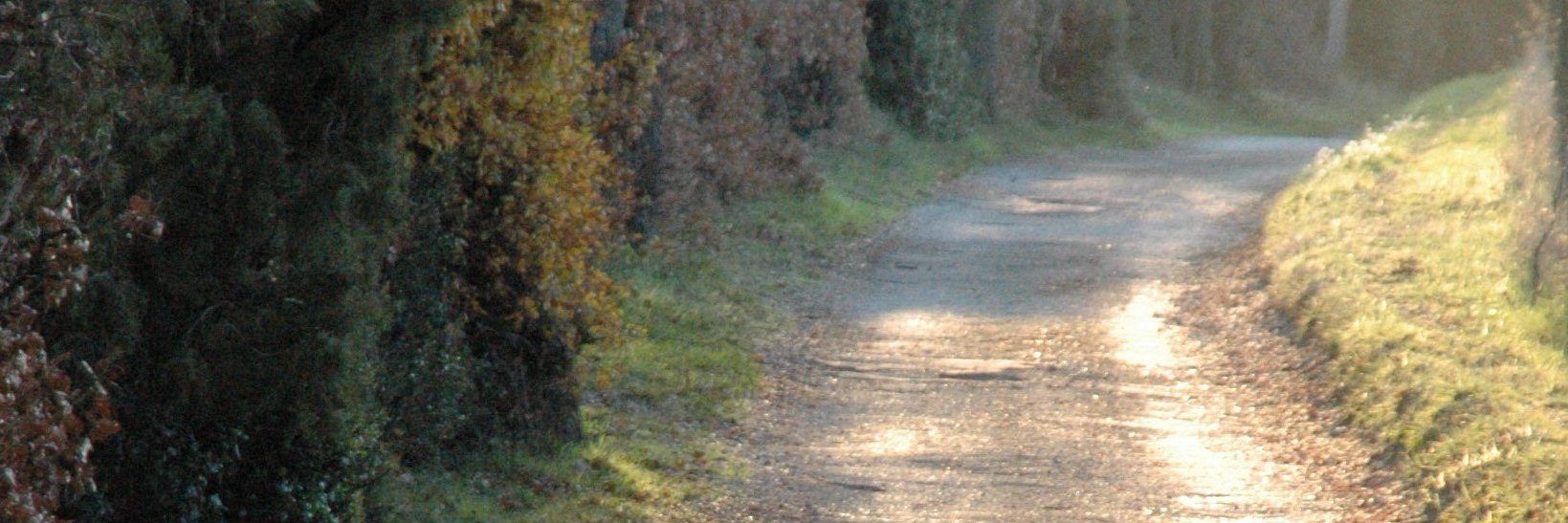 SdeCormis's profile banner image
