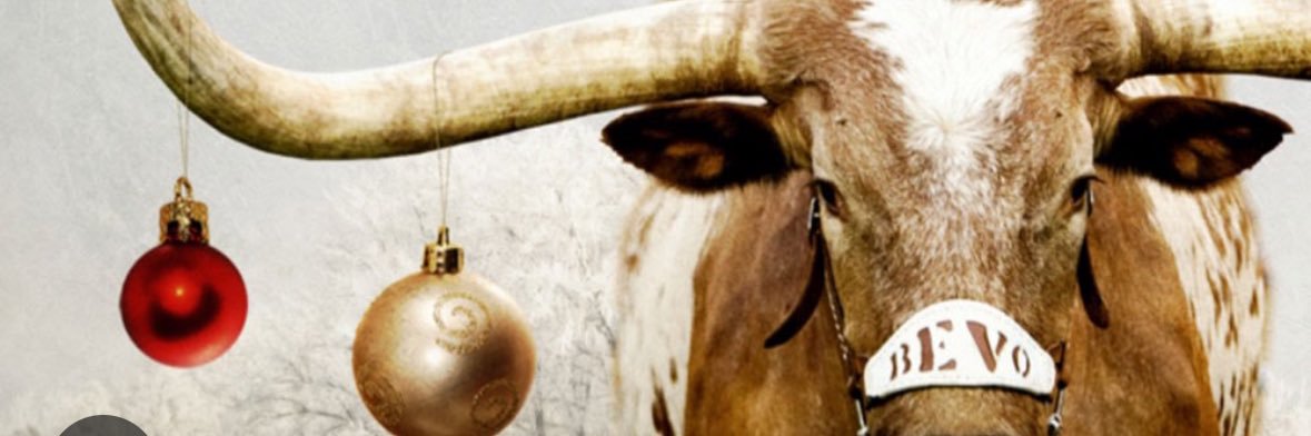 lauralesperance's profile banner image