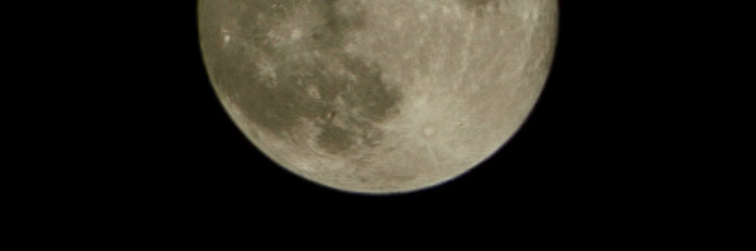 reyu4444's profile banner image