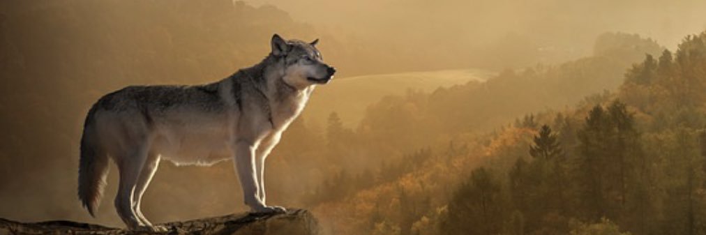 TrulyBlessed&HighlyFavored🙌🏾 banner