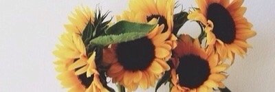 Bailey_Aldridge's profile banner image