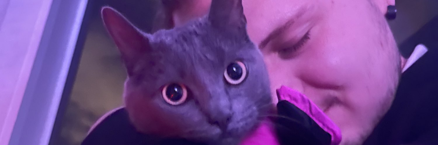 imalilshrimpy's profile banner image