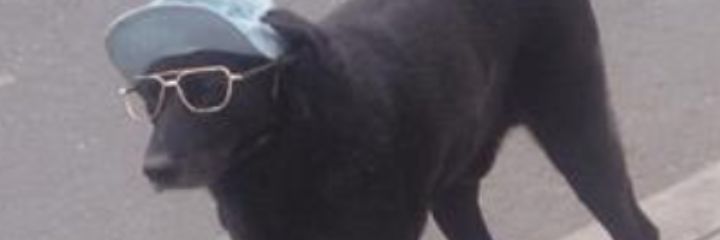 devinstarr9's profile banner image