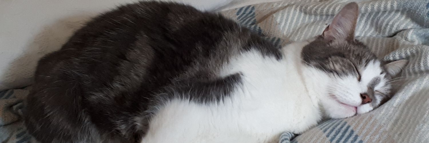 MrFingleBinder's profile banner image