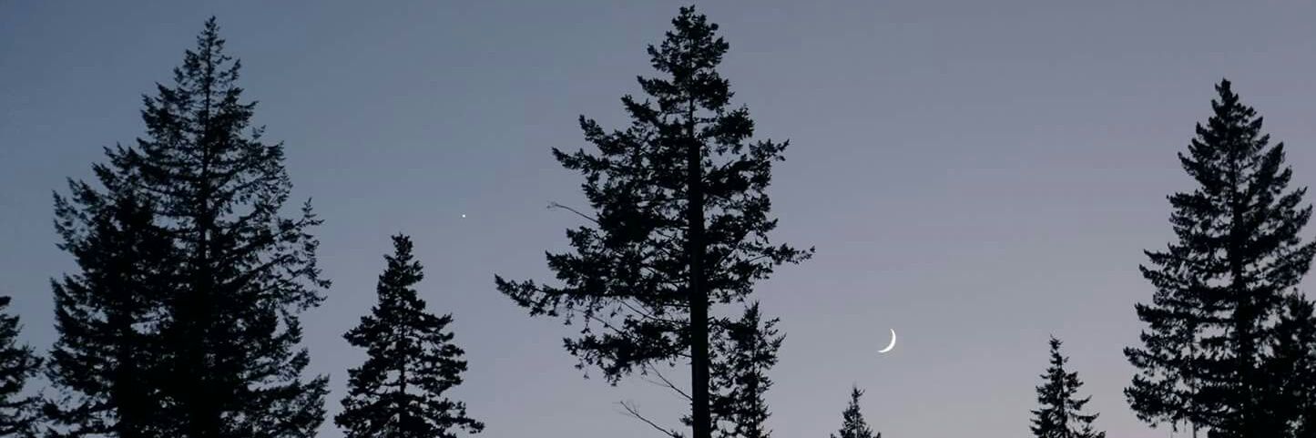 MattAyling's profile banner image