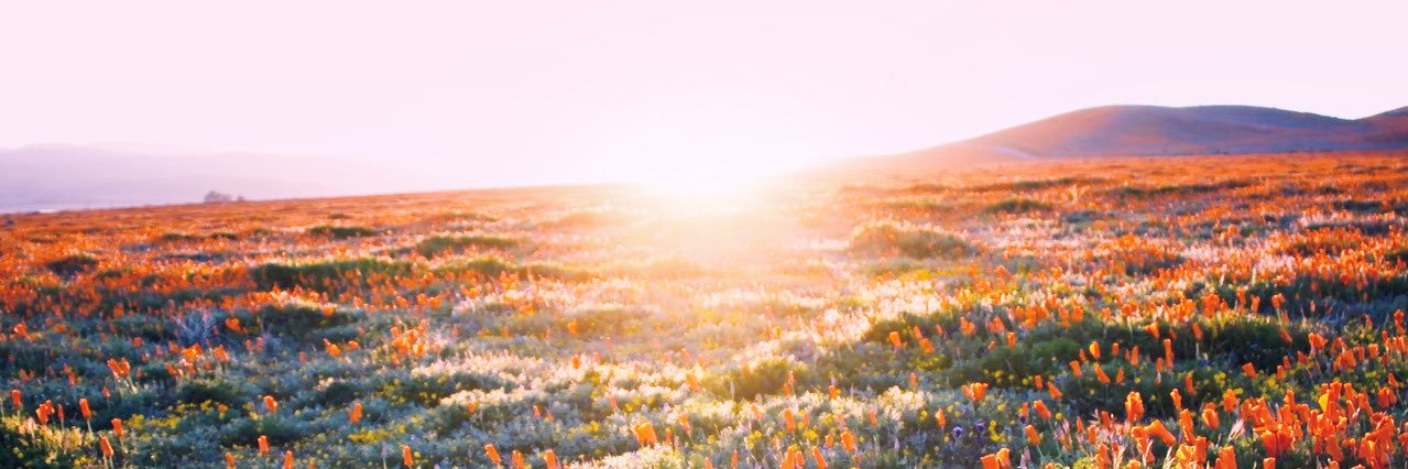 assistanttxt's profile banner image