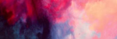 Emily Moss banner