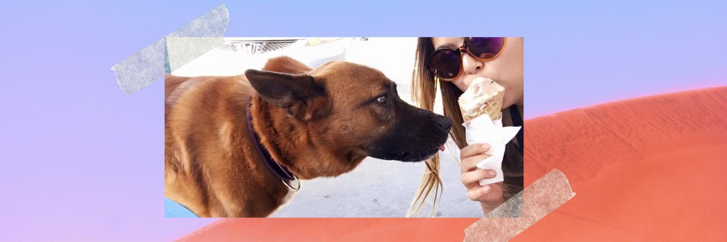 wittykritty's profile banner image