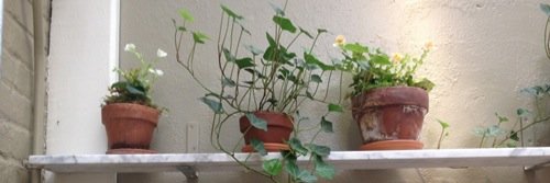 noahallgdrx's profile banner image