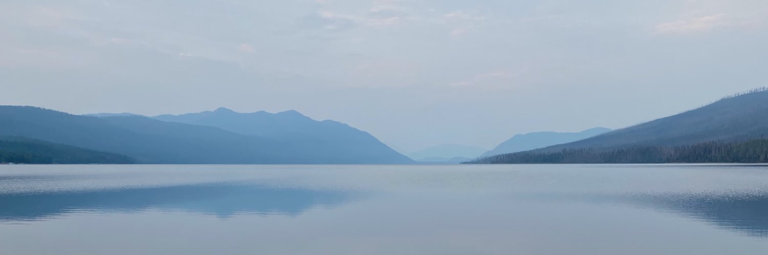 acidfleur's profile banner image
