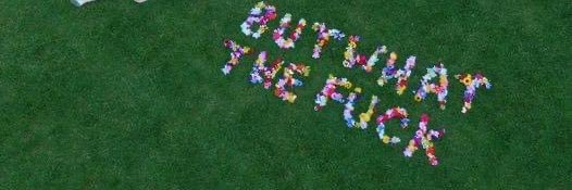 MĪA ROSEWOOD banner