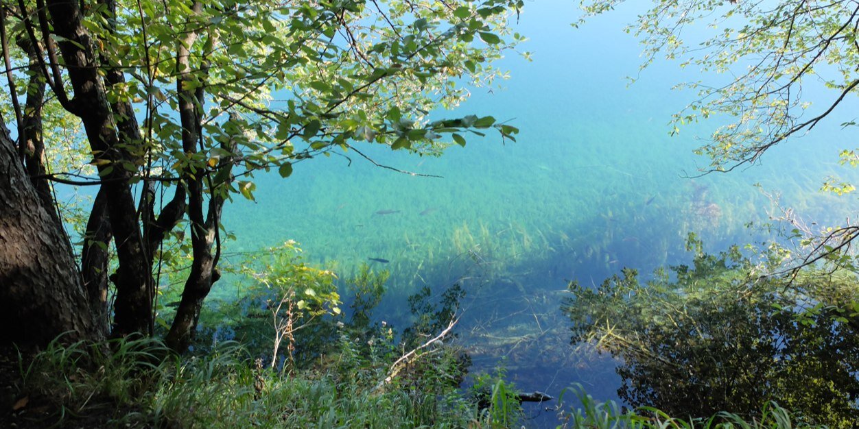 Samantha Jackson banner