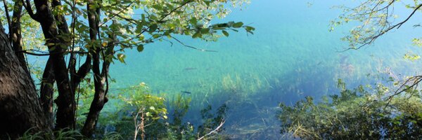 samjackson26 Profile Banner