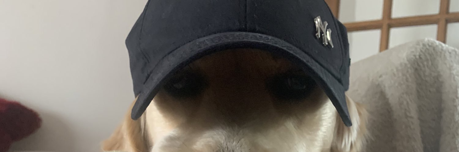 mutlyy's profile banner image