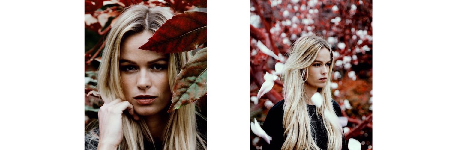 BealeyRose's profile banner image