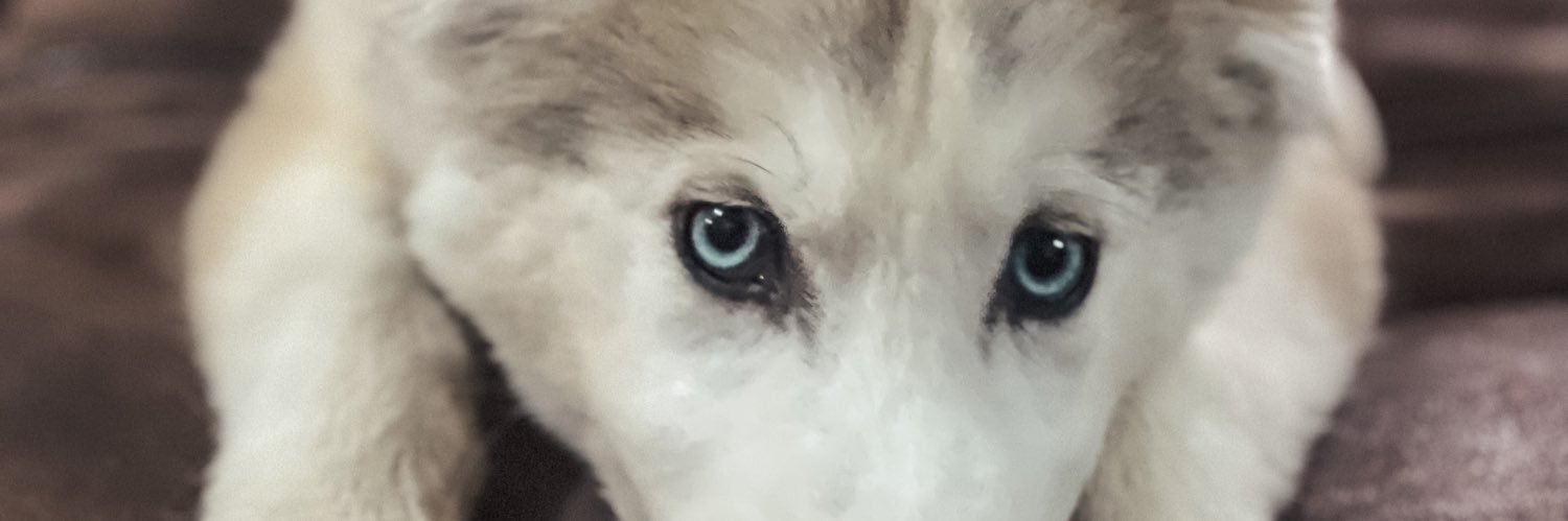 Thalia Torres banner