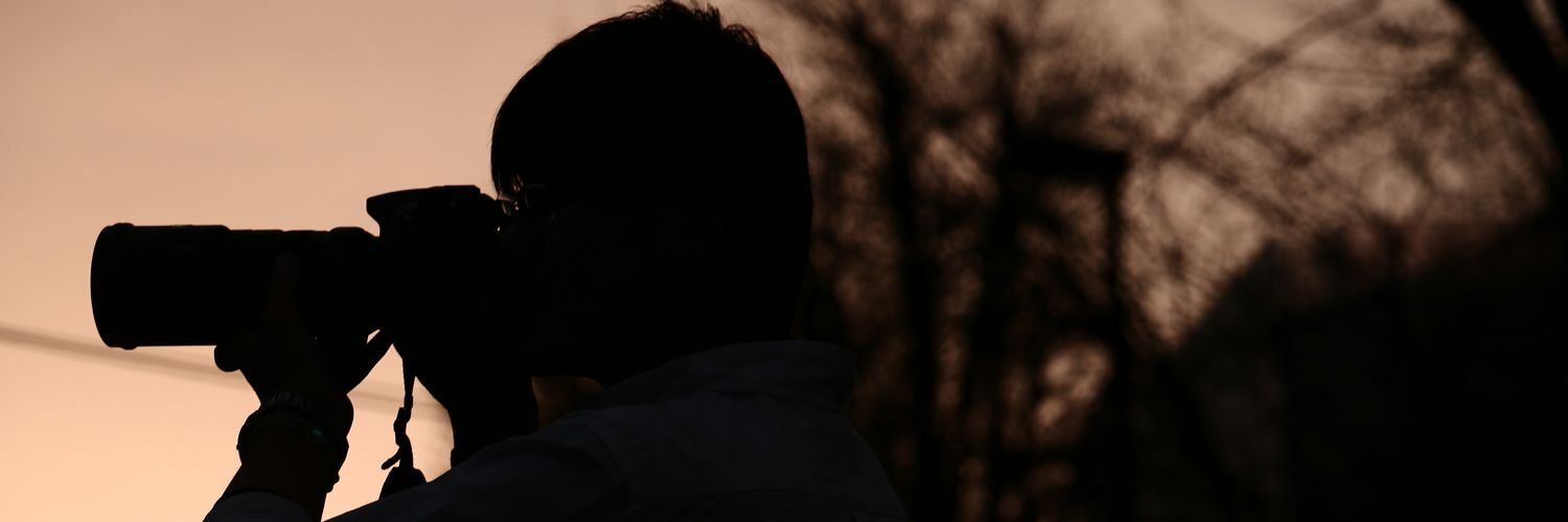 SCP0801's profile banner image