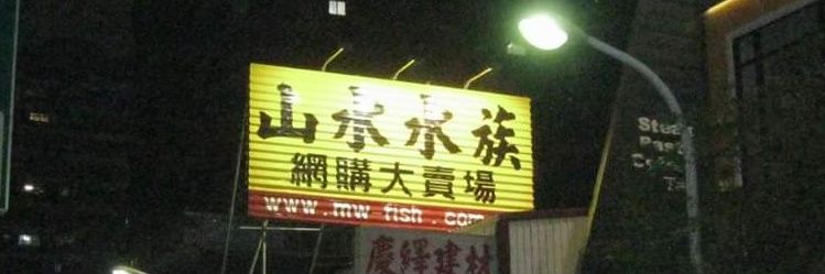 wft0213's profile banner image