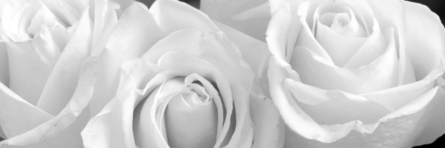lady___katrin's profile banner image