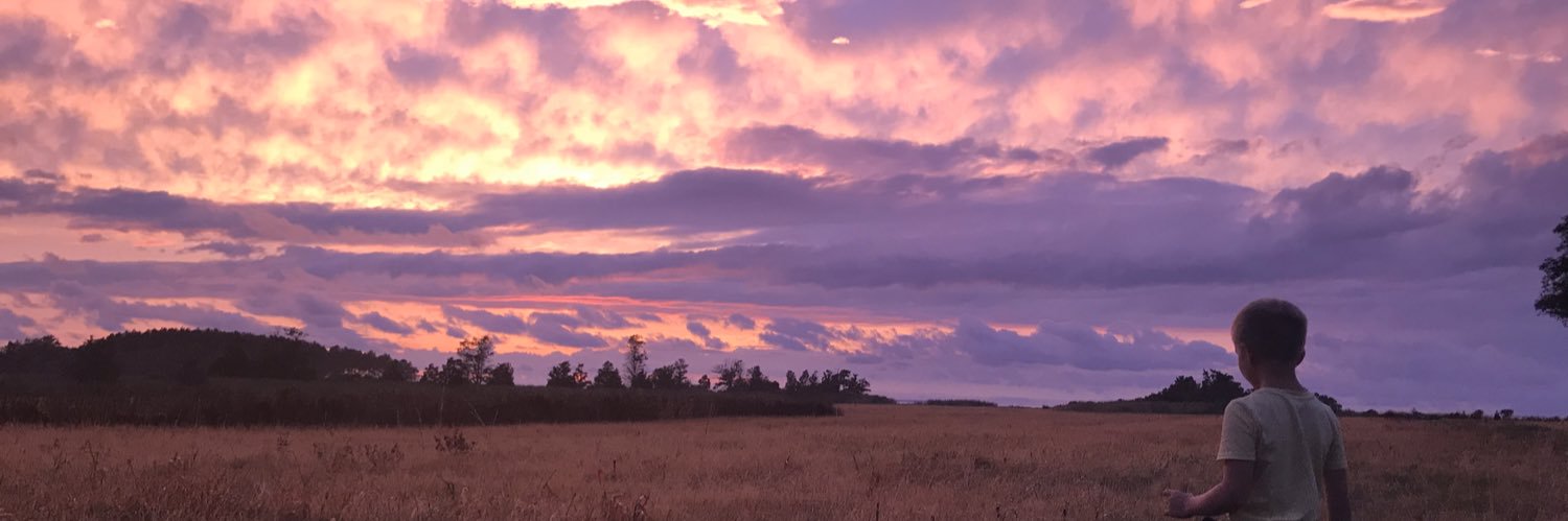 Eileen faulds PhD, MS, RN, FNP, CDE banner