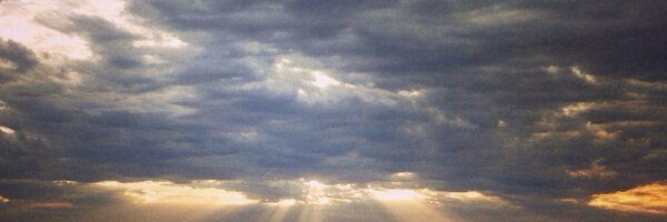 LNixon9 Profile Banner