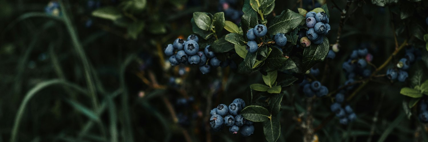 Naomi Narvaiz banner