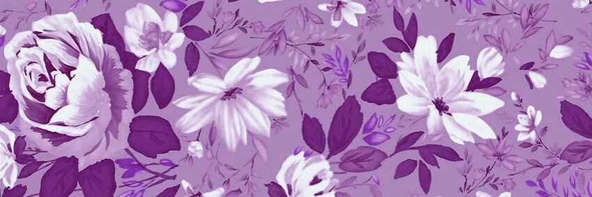Marina Menezes banner