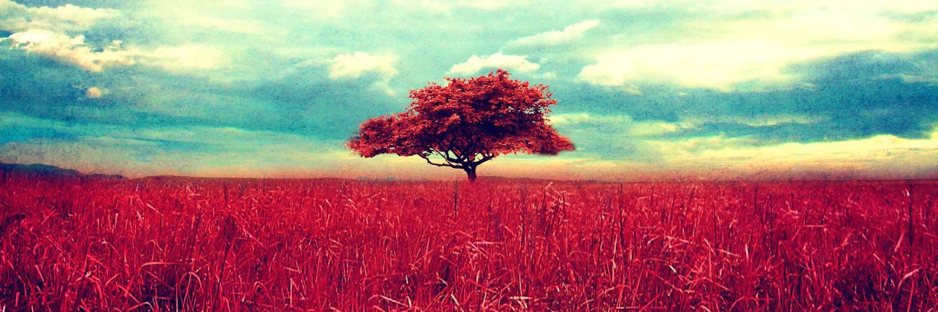 ▶ Вика Мориарти ◀ banner