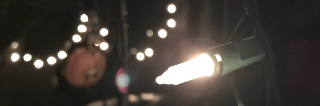 Julia Hutchinson banner