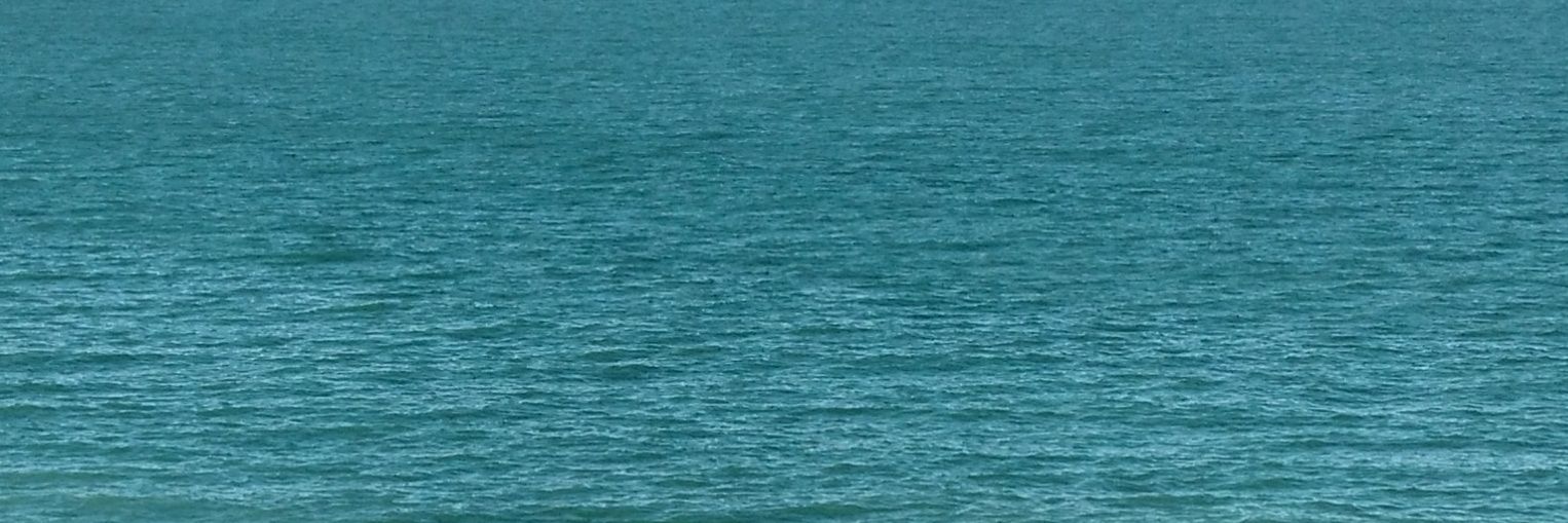 cepe_cip's profile banner image