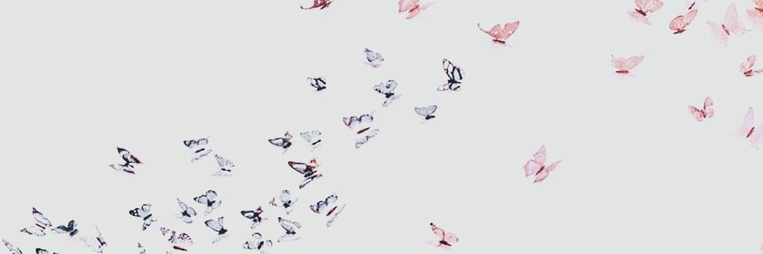 curiovsmindss's profile banner image