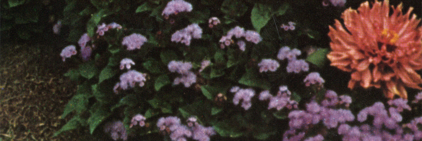 SinlessSound's profile banner image