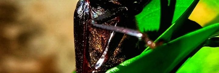 Real_JM254's profile banner image