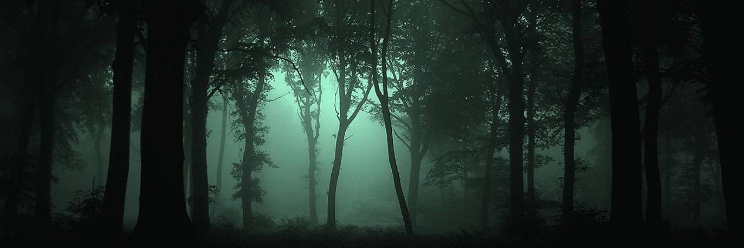 spooky_jerry's profile banner image