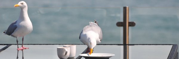 marcingminski Profile Banner