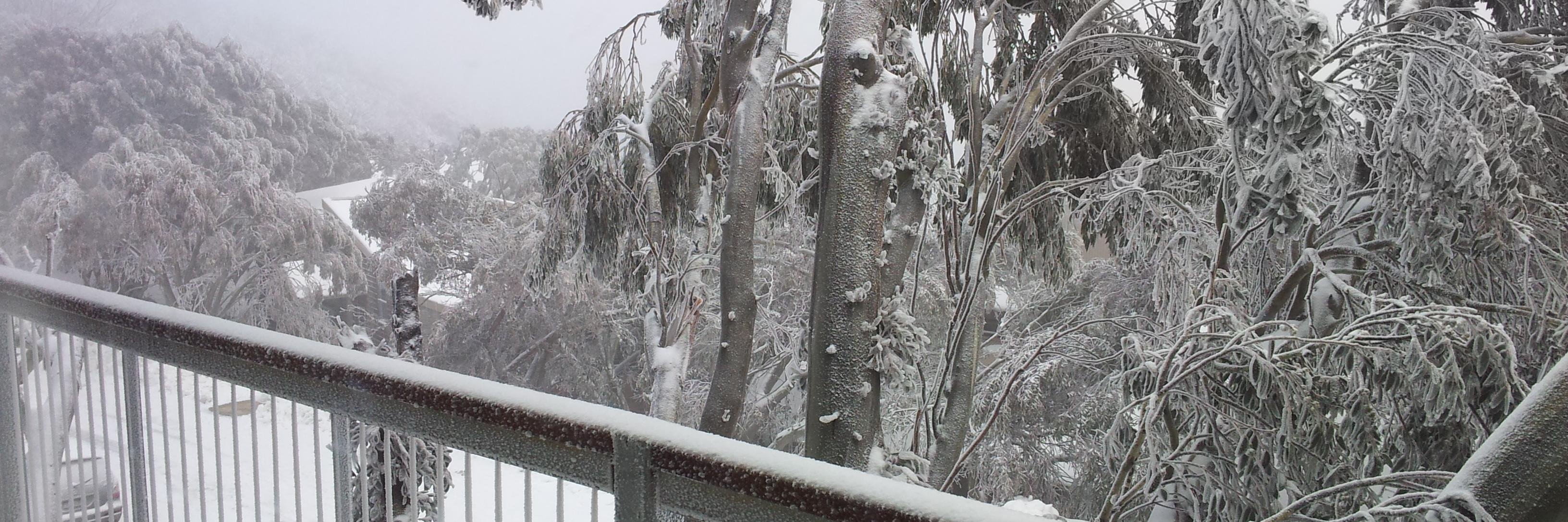 Jason Proposch banner