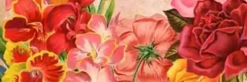 _PaOMG's profile banner image