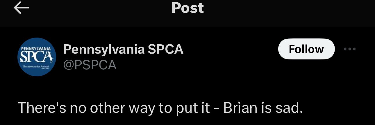 Brian Coulter's banner