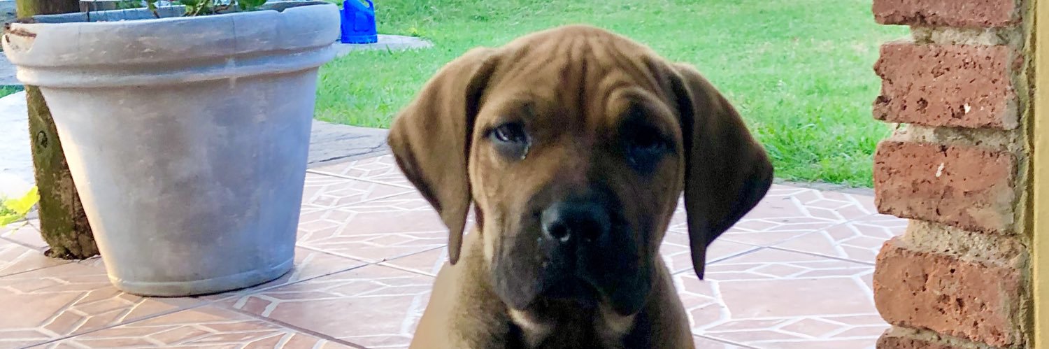 nachodume's profile banner image