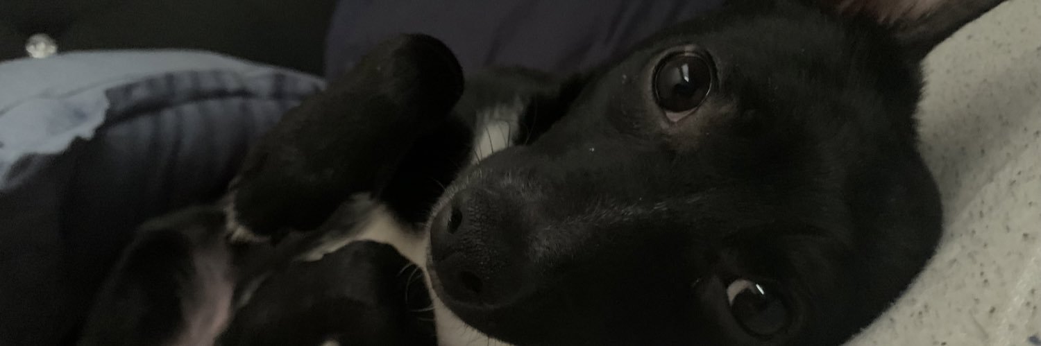 Zaylovyou's profile banner image