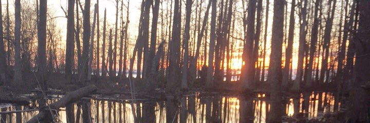 Kemper Sutton banner