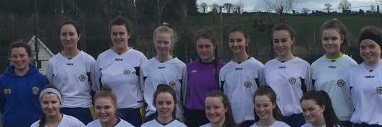 Laoise banner