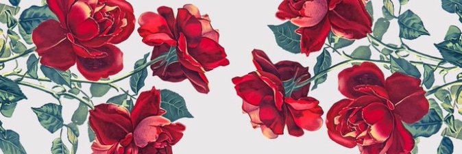Freaklain's profile banner image