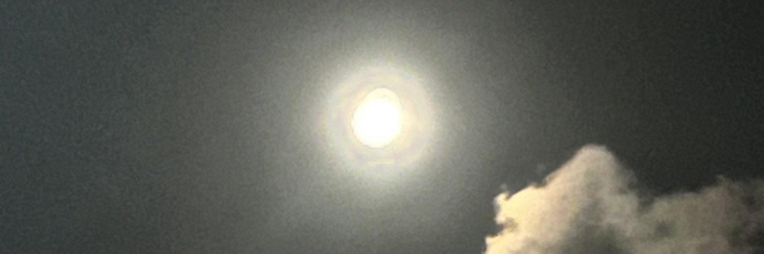 oki0816's profile banner image