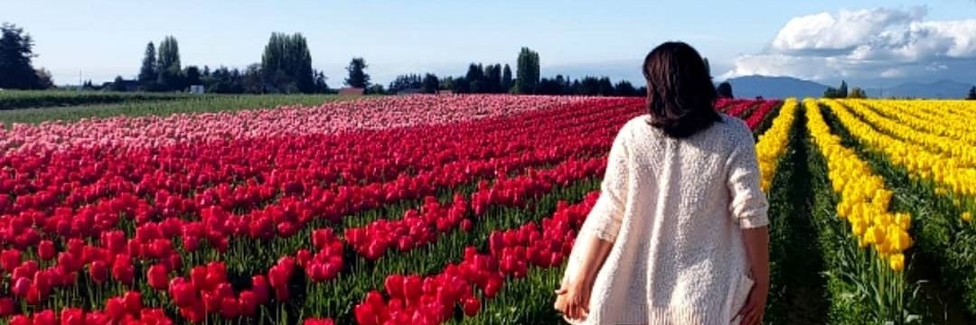 ericahoff's profile banner image